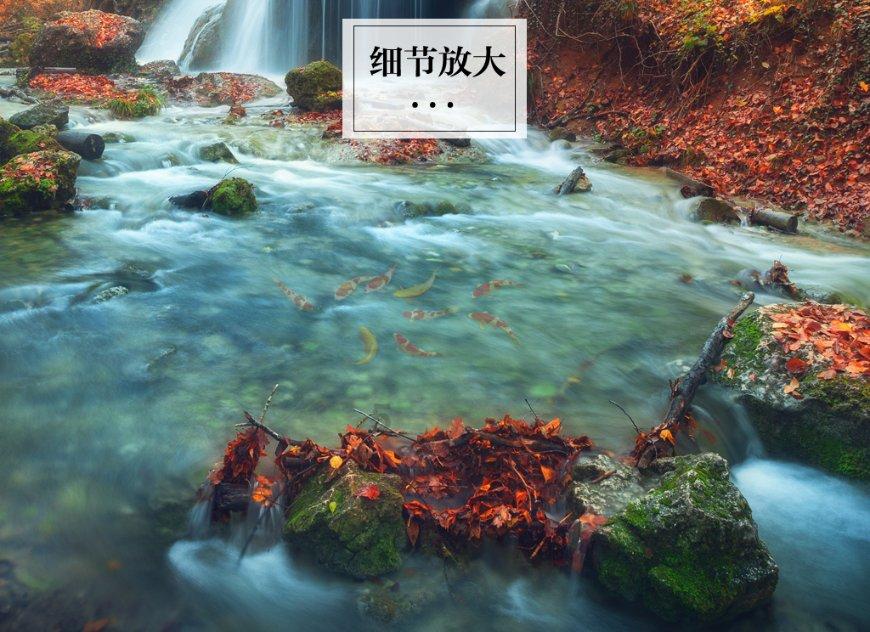 马立霜:运用人工智能技术提升产前诊断准确性 护佑新生儿健康成长