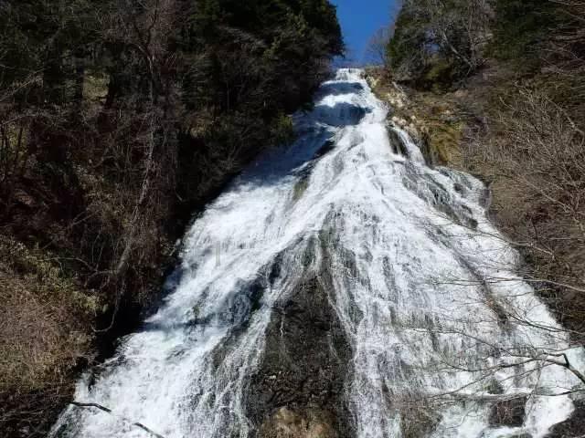 蝙蝠侠：阿甘之城