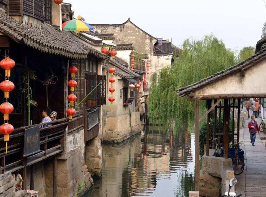 救援鹦鹉