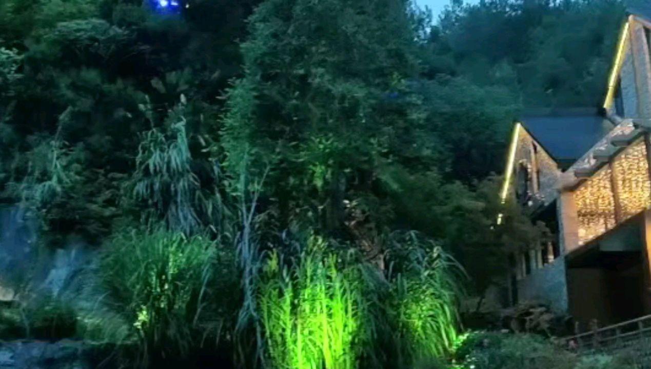 彩色夏天